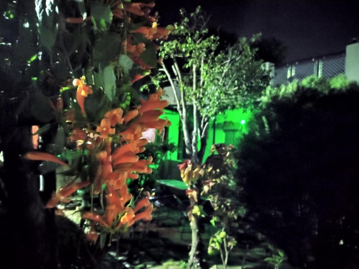 Last Chance Cafe And Guest House Rishīkesh Exterior foto